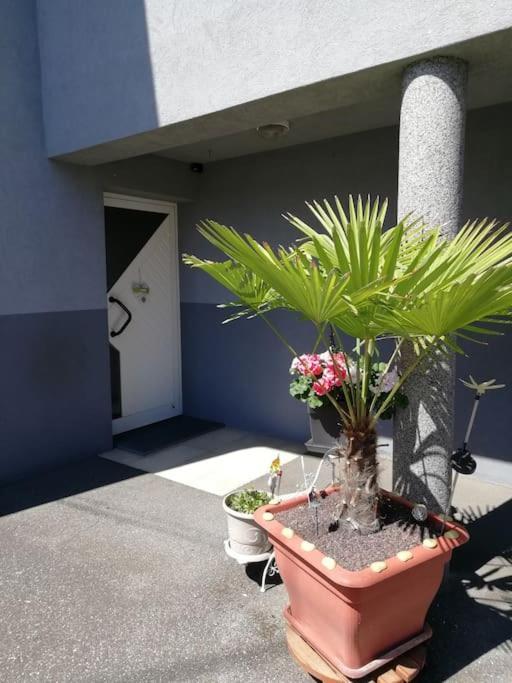 Appartement Agreable 헤게나우 외부 사진